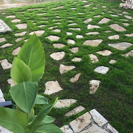 Green Silence - Vuk Podgorica Eksteriør bilde
