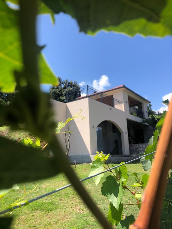 Green Silence - Vuk Podgorica Eksteriør bilde