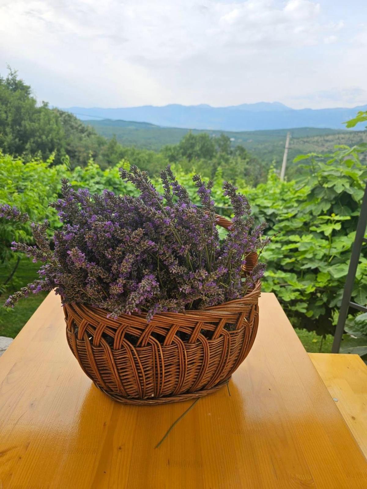 Green Silence - Vuk Podgorica Eksteriør bilde