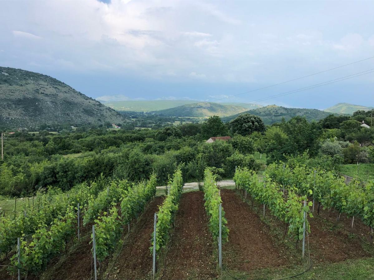 Green Silence - Vuk Podgorica Eksteriør bilde