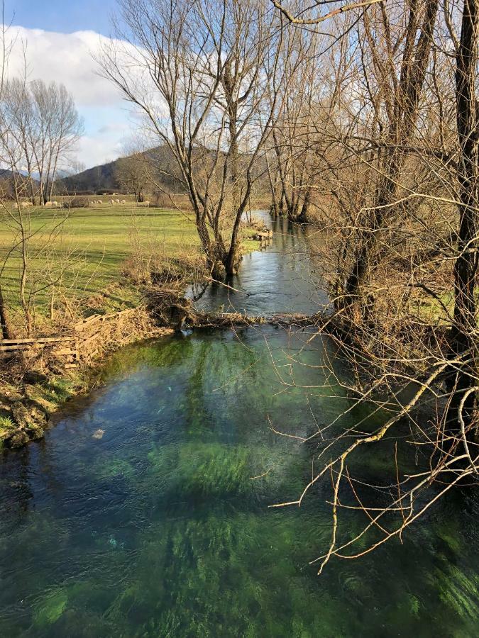 Green Silence - Vuk Podgorica Eksteriør bilde