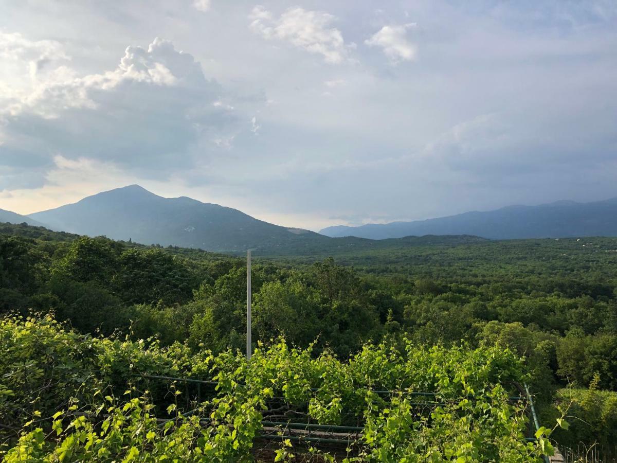 Green Silence - Vuk Podgorica Eksteriør bilde