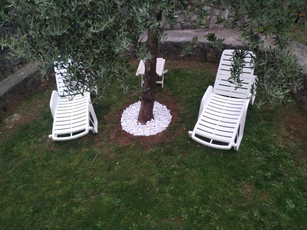 Green Silence - Vuk Podgorica Eksteriør bilde
